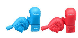 Karate Gloves