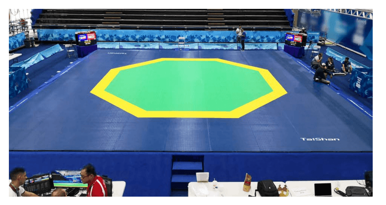 Taekwondo Mats (new octangle type)