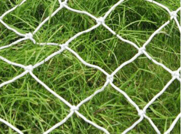 Football Net (11v11)