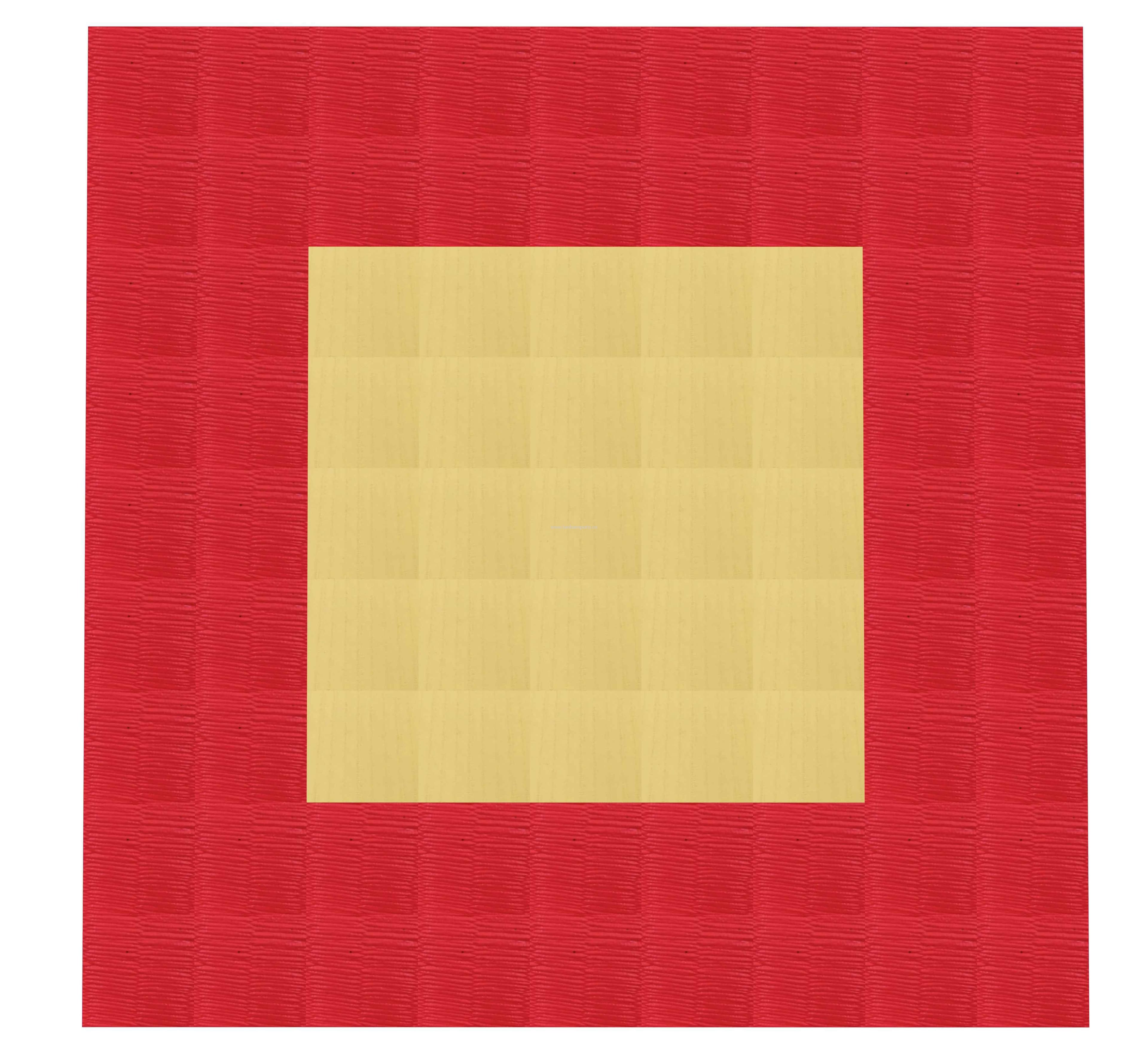 Judo Mat (training type)
